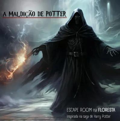 a Maldição de potter poster1