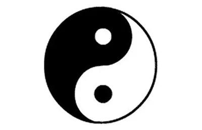 Yin-Yang poster1